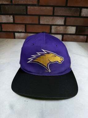 Vintage 90s St. Louis Stallions Starter Snapback Hat NFL Expansion